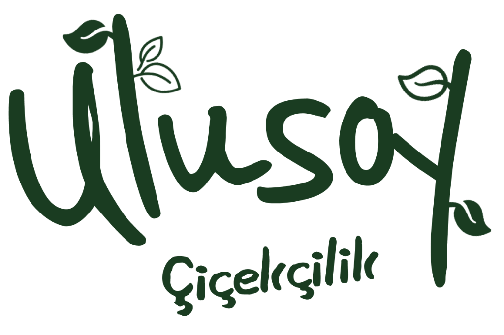 Ulusoy Çiçekçilik